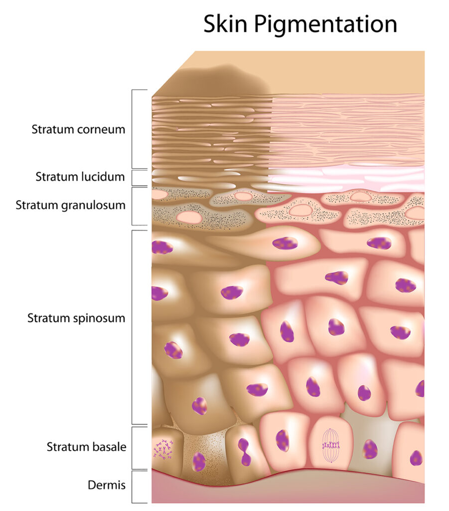 Retinol làm bong tróc da
